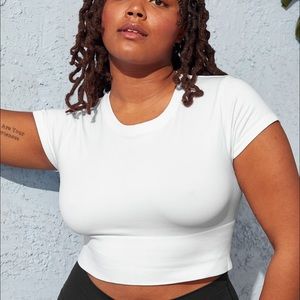 Sidewalk Seamless Cropped T-Shirt